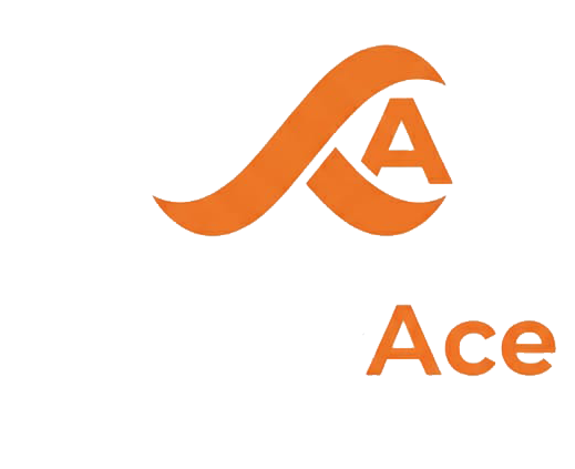 leaderace.site